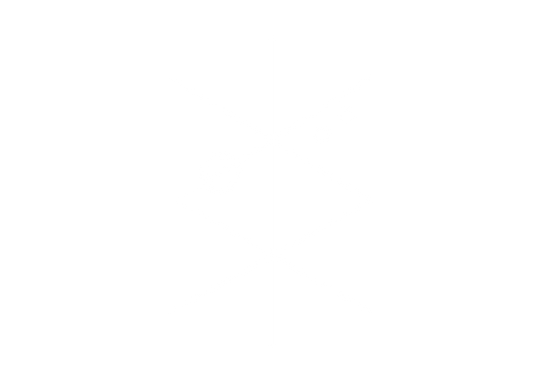 Disciplinia